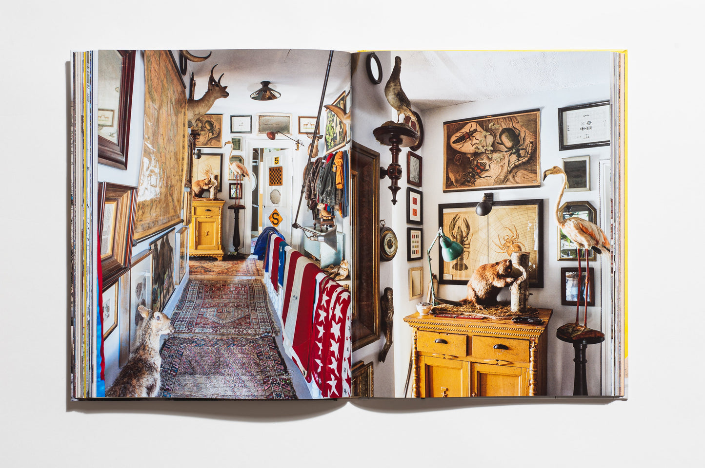 Sean Scherer's Kabinett & Kammer: Creating Authentic Interiors – Signature Edition
