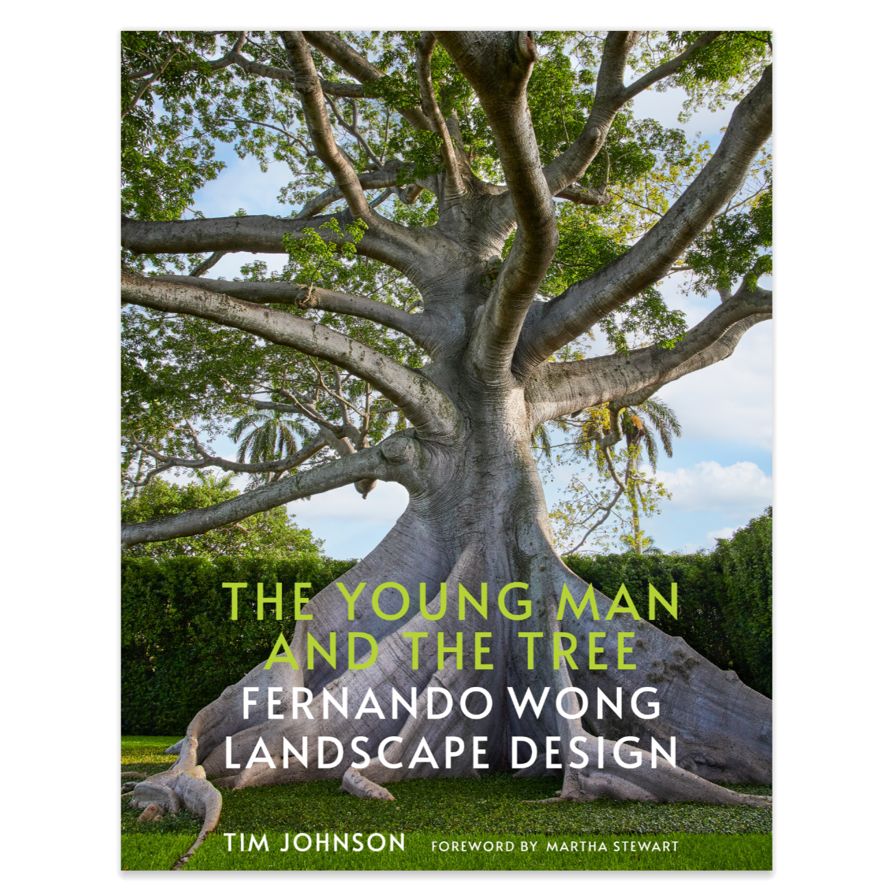 The Young Man and The Tree: Fernando Wong Landscape Design - Signature Edition